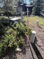 250 Copper Rim Trail - Photo 3