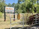 34044 State Highway 17 - Photo 16