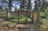 38 Lobo - Photo 34