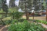 38 Lobo - Photo 35