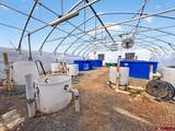 5200 Road 21 - Photo 7