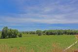 55532 Dalia Road - Photo 16