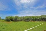 55532 Dalia Road - Photo 17