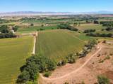 55532 Dalia Road - Photo 8