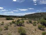 4530 Horse Canyon Road - Photo 10