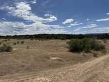4530 Horse Canyon Road - Photo 12