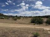 4530 Horse Canyon Road - Photo 14