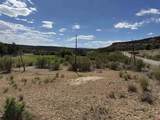 4530 Horse Canyon Road - Photo 16