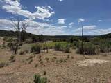 4530 Horse Canyon Road - Photo 17
