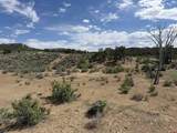4530 Horse Canyon Road - Photo 18