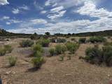 4530 Horse Canyon Road - Photo 8
