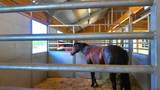 1134 Parelli Institute Drive - Photo 25