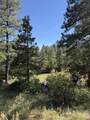 950 Deer Trial Road - Photo 10
