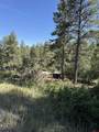 950 Deer Trial Road - Photo 12
