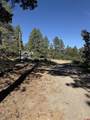950 Deer Trial Road - Photo 2