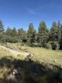 950 Deer Trial Road - Photo 4