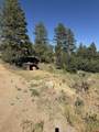 950 Deer Trial Road - Photo 5