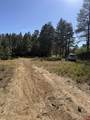 950 Deer Trial Road - Photo 6