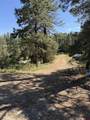 950 Deer Trial Road - Photo 9