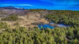 456 Regal Pines Court - Photo 42