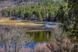 456 Regal Pines Court - Photo 45