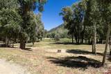 27009 Hwy 145 - Photo 6