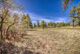 1362 Cool Pines Drive - Photo 11