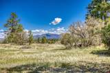 1362 Cool Pines Drive - Photo 12