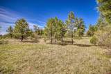 1362 Cool Pines Drive - Photo 13