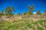 1362 Cool Pines Drive - Photo 15