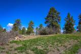 1362 Cool Pines Drive - Photo 3