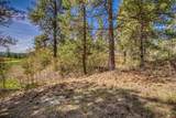 1362 Cool Pines Drive - Photo 4