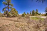 1362 Cool Pines Drive - Photo 5