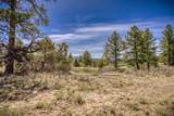 1362 Cool Pines Drive - Photo 6