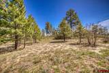 1362 Cool Pines Drive - Photo 7