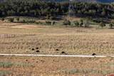 11503 4050 Road - Photo 44