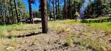 361 Hogan Circle - Photo 3