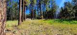 361 Hogan Circle - Photo 4