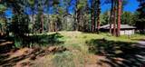 361 Hogan Circle - Photo 7