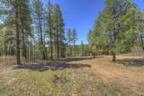 1100 Cr125 - Photo 6