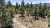 221 Elk Run - Photo 34