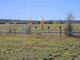 298 Moon River Drive - Photo 3