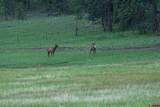 3193 County Rd 71 - Photo 40