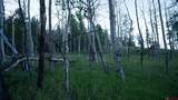 3193 County Rd 71 - Photo 42
