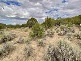 TBD LOT 22 7250 Road - Photo 16