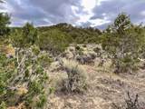 TBD LOT 22 7250 Road - Photo 19