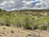 TBD LOT 22 7250 Road - Photo 7