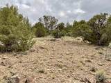 TBD LOT 22 7250 Road - Photo 8