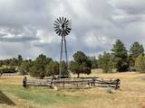 61 Windmill - Photo 5