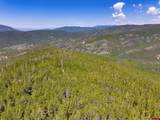 000 White Pine Upper Tomichi - Photo 10